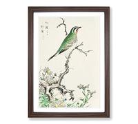 Big Box Art Ruby Throat & Wild Camomile by Numata Kashu Framed Wall Art Picture Print Ready to Hang, Walnut A2 (62 x 45 cm)