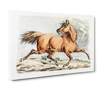 Big Box Art Running Brown Horse by Henry Alken Canvas Wall Art Framed Picture Print, 30 x 20 Inch (76 x 50 cm), White, Cream, Grey, Cream