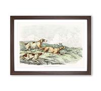 Big Box Art Running Hounds by Henry Alken Framed Wall Art Picture Print Ready to Hang, Walnut A2 (62 x 45 cm)