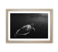 Big Box Art Sea Turtle in Abstract Framed Wall Art Picture Print Ready to Hang, Oak A2 (62 x 45 cm)