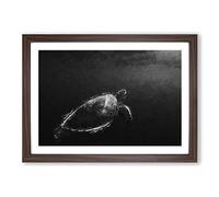 Big Box Art Sea Turtle in Abstract Framed Wall Art Picture Print Ready to Hang, Walnut A2 (62 x 45 cm)