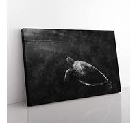 Big Box Art Sea Turtle Painting Canvas Wall Art Print Ready to Hang Picture, 76 x 50 cm (30 x 20 Inch), Black, Grey