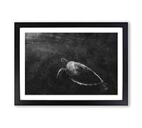 Big Box Art Sea Turtle Painting Framed Wall Art Picture Print Ready to Hang, Black A2 (62 x 45 cm)