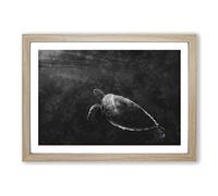 Big Box Art Sea Turtle Painting Framed Wall Art Picture Print Ready to Hang, Oak A2 (62 x 45 cm)
