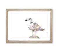 Big Box Art Seagull Bird in The Rainbow in Abstract Framed Wall Art Picture Print Ready to Hang, Oak A2 (62 x 45 cm)