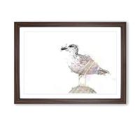 Big Box Art Seagull Bird in The Rainbow in Abstract Framed Wall Art Picture Print Ready to Hang, Walnut A2 (62 x 45 cm)