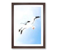 Big Box Art Seagulls in Flight in Abstract Framed Wall Art Picture Print Ready to Hang, Walnut A2 (62 x 45 cm)