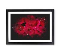 Big Box Art Seeing Red Flowers Paint Splash Framed Wall Art Picture Print Ready to Hang, Black A2 (62 x 45 cm)