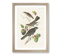 Big Box Art Selection of Birds by John James Audubon Framed Wall Art Picture Print Ready to Hang, Oak A2 (62 x 45 cm)