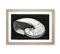 Big Box Art Shell by Julie De Graag Framed Wall Art Picture Print Ready to Hang, Oak A2 (62 x 45 cm)
