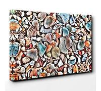 Big Box Art Shells on The Beach Canvas Wall Art Print Ready to Hang Picture, 30 x 20 Inch (76 x 50 cm), Multi-Coloured