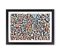 Big Box Art Shells on The Beach Framed Wall Art Picture Print Ready to Hang, Black A2 (62 x 45 cm)