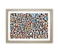 Big Box Art Shells on The Beach Framed Wall Art Picture Print Ready to Hang, Oak A2 (62 x 45 cm)