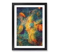 Big Box Art Shells On The Beach Vo.1 Painting Framed Wall Art Picture Print Ready to Hang, Black A2 (62 x 45 cm)