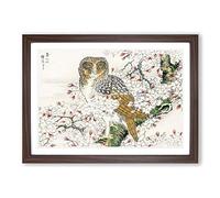 Big Box Art Short-Eared Owl & Cherry Flower by Numata Kashu Framed Wall Art Picture Print Ready to Hang, Walnut A2 (62 x 45 cm)