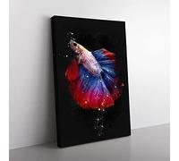Big Box Art Siamese Fighting Fish Paint Splash Canvas Wall Art Print Ready to Hang Picture, 76 x 50 cm (30 x 20 Inch), Black, Red, Maroon, Brown