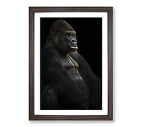 Big Box Art Silverback Gorilla 2 Framed Wall Art Picture Print Ready to Hang, Walnut A2 (62 x 45 cm)