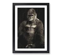 Big Box Art Silverback Gorilla Vol.2 Painting Framed Wall Art Picture Print Ready to Hang, Black A2 (62 x 45 cm)