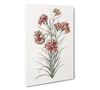 Big Box Art Six Carnations by Johan Teyler Canvas Wall Art Framed Picture Print, 30 x 20 Inch (76 x 50 cm), White, Grey, Cream, Brown