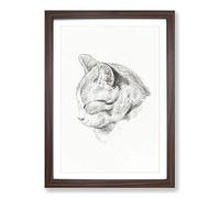 Big Box Art Sketch of a Cat by Jean Bernard Framed Wall Art Picture Print Ready to Hang, Walnut A2 (62 x 45 cm)