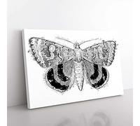 Big Box Art Sleepy Underwing Moth by S.F. Denton Canvas Wall Art Print Ready to Hang Picture, 76 x 50 cm (30 x 20 Inch), White, Grey, Black, Grey