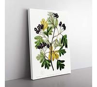 Big Box Art Small-Flowered Hawthorn Berry Tree Canvas Wall Art Print Ready to Hang Picture, 76 x 50 cm (30 x 20 Inch), White, Beige, Green, Black