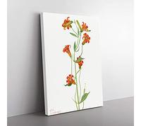 Big Box Art Small Tiger Lily by Mary Vaux Walcott Canvas Wall Art Print Ready to Hang Picture, 76 x 50 cm (30 x 20 Inch), White, Green, Green