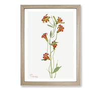 Big Box Art Small Tiger Lily by Mary Vaux Walcott Framed Wall Art Picture Print Ready to Hang, Oak A2 (62 x 45 cm)