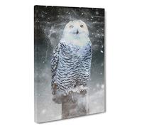 Big Box Art Snowy Owl on a Perch Canvas Wall Art Framed Picture Print, 30 x 20 Inch (76 x 50 cm), Grey, Black