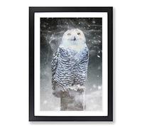 Big Box Art Snowy Owl on a Perch Framed Wall Art Picture Print Ready to Hang, Black A2 (62 x 45 cm)