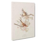 Big Box Art Song Sparrows by John James Audubon Canvas Wall Art Framed Picture Print, 30 x 20 Inch (76 x 50 cm), White, Grey, Brown