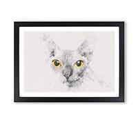 Big Box Art Sphynx Cat with Amber Eyes Watercolour Framed Wall Art Picture Print Ready to Hang, Black A2 (62 x 45 cm)