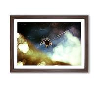 Big Box Art Spider Cobweb (1) Framed Wall Art Picture Print Ready to Hang, Walnut A2 (62 x 45 cm)