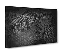 Big Box Art Spiders Cobweb in Abstract Canvas Wall Art Framed Picture Print, 30 x 20 Inch (76 x 50 cm), Black, Grey