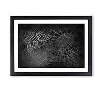 Big Box Art Spiders Cobweb in Abstract Framed Wall Art Picture Print Ready to Hang, Black A2 (62 x 45 cm)