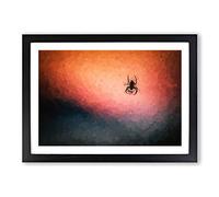 Big Box Art Spiders Web in Abstract Framed Wall Art Picture Print Ready to Hang, Black A2 (62 x 45 cm)