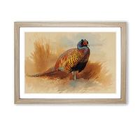 Big Box Art Study of A Cock by Archibald Thorburn Framed Wall Art Picture Print Ready to Hang, Oak A2 (62 x 45 cm)