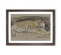 Big Box Art Study of A Tiger Vol.1 by John Macallan Swan Framed Wall Art Picture Print Ready to Hang, Walnut A2 (62 x 45 cm)