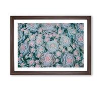 Big Box Art Succulent Plants Framed Wall Art Picture Print Ready to Hang, Walnut A2 (62 x 45 cm)