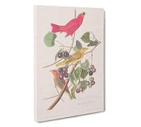 Big Box Art Summer Red Birds by John James Audubon Canvas Wall Art Framed Picture Print, 30 x 20 Inch (76 x 50 cm), White, Brown, Green, Pink, Cream