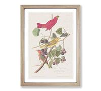 Big Box Art Summer Red Birds by John James Audubon Framed Wall Art Picture Print Ready to Hang, Oak A2 (62 x 45 cm)
