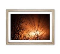 Big Box Art Sun Rays Through The Trees Framed Wall Art Picture Print Ready to Hang, Oak A2 (62 x 45 cm)