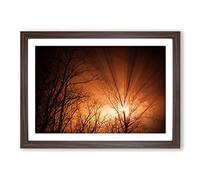 Big Box Art Sun Rays Through The Trees Framed Wall Art Picture Print Ready to Hang, Walnut A2 (62 x 45 cm)