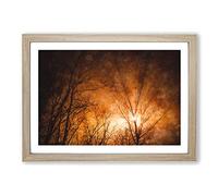 Big Box Art Sun Rays Through The Trees Painting Framed Wall Art Picture Print Ready to Hang, Oak A2 (62 x 45 cm)