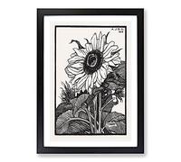 Big Box Art Sunflower by Julie De Graag Framed Wall Art Picture Print Ready to Hang, Black A2 (62 x 45 cm)