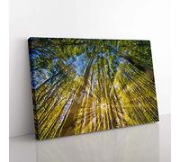 Big Box Art Sunrays Through The Forest in Abstract Canvas Wall Art Print Ready to Hang Picture, 76 x 50 cm (30 x 20 Inch), Olive, Green, Teal, Grey