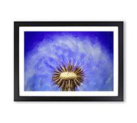 Big Box Art Swirling Dandelion Seeds in Abstract Framed Wall Art Picture Print Ready to Hang, Black A2 (62 x 45 cm)