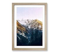 Big Box Art Tall Trees Framed Wall Art Picture Print Ready to Hang, Oak A2 (62 x 45 cm)