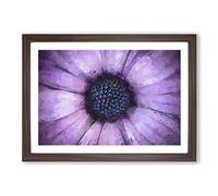 Big Box Art The Eye of a Purple Flower in Abstract Framed Wall Art Picture Print Ready to Hang, Walnut A2 (62 x 45 cm)