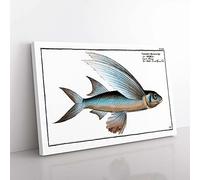 Big Box Art The Flying-Fish by M.E. Bloch Canvas Wall Art Print Ready to Hang Picture, 76 x 50 cm (30 x 20 Inch), White, Grey, Brown, Black
